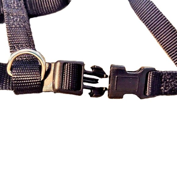 Small DOG Harness ~ No-Pull, H-Type, 5/8" Nylon Web-Strap ~ Adjustable 14"- 20" - Picture 7 of 11